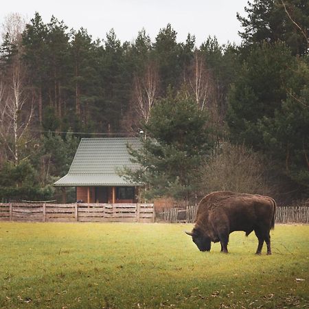Lesna 21 Dom Polnoc Przy Zalew Siemianowka Villa Luka Eksteriør bilde